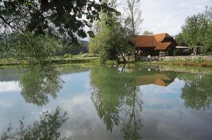 Ribniki Žeje